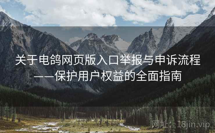 关于电鸽网页版入口举报与申诉流程——保护用户权益的全面指南