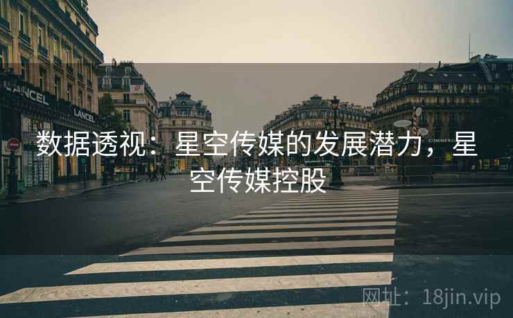 数据透视:星空传媒的发展潜力,星空传媒控股
