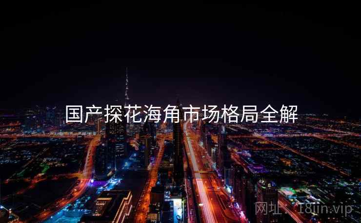国产探花海角市场格局全解