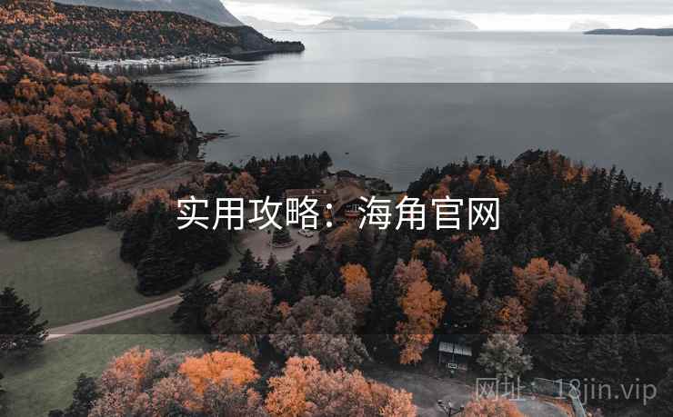 实用攻略:海角官网