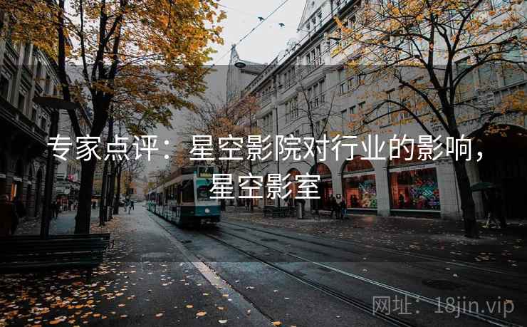 专家点评:星空影院对行业的影响,星空影室
